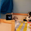 Temtop P10 Air Quality Monitor Real-time Particulate Matter PM2.5 AQI Monitor-